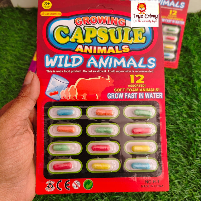 Growing Capsule Toy - Pack of 12 Capsules