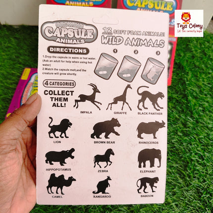 Growing Capsule Toy - Pack of 12 Capsules