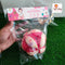 Activity Toys