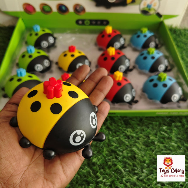 Press and Go Ladybug (Pack of 1 Toy)