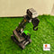 Kids Non-Battery Toys