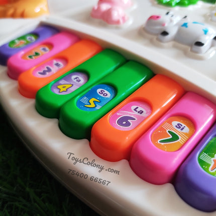 Rabbit Piano