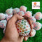 Kids Toys
