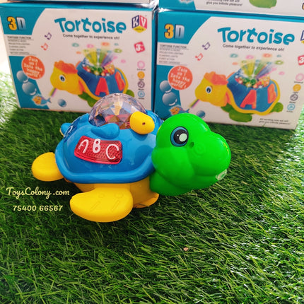 Tortoise with Projection Image