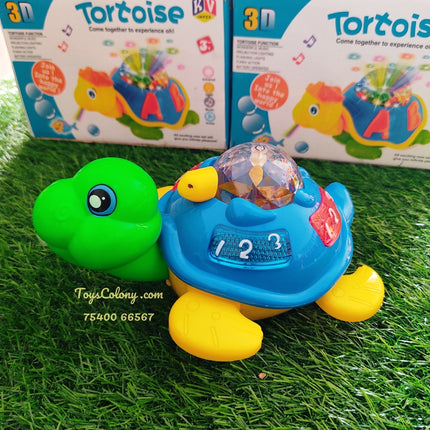 Tortoise with Projection Image