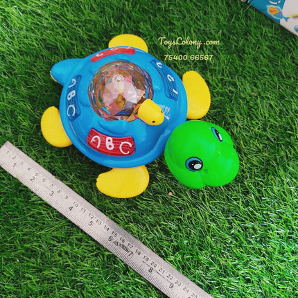 Tortoise with Projection Image