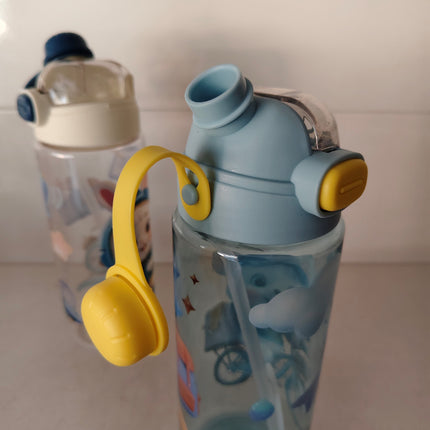 Water Bottle Model #15 (Pack of 1 Bottle)